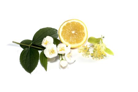 lemon, flower and branch of a lindenの写真素材