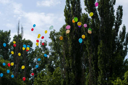 balloons in the sky against trees and the sky, the last call schoolの写真素材