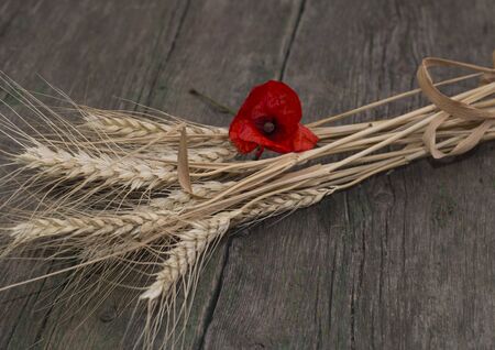 the linking of wheat decorated with a flower of red poppyの写真素材