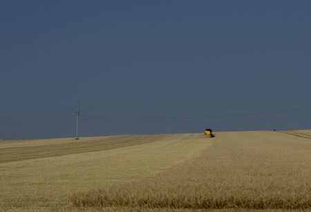 on the horizon in the field wheat harvestingの写真素材