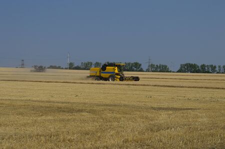 the farm vehicle harvests cereal culturesの写真素材