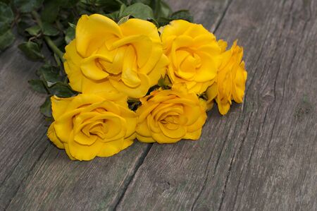 beautiful bouquet of yellow roses on a wooden shabby tableの写真素材
