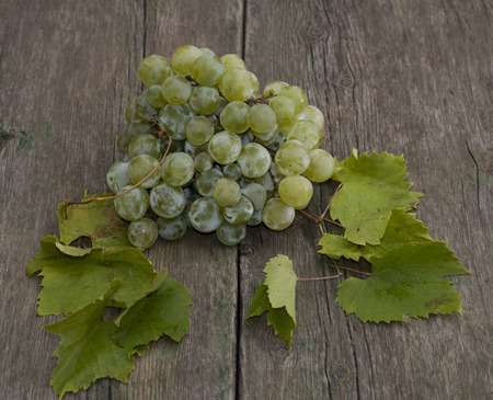 grapes cluster with leaves on a wooden table, a still life on a subject fruit of fallの写真素材