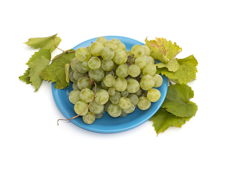 still life a plate with grapes on the isolated background, a subject fruit of fallの写真素材