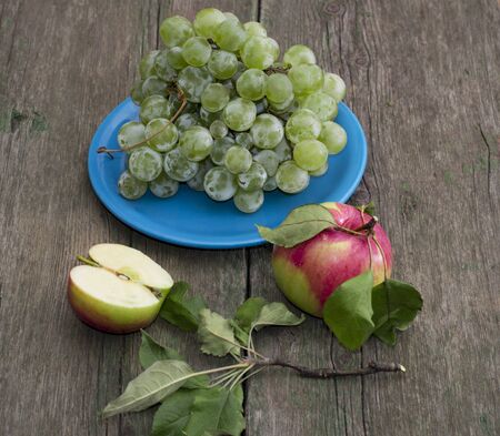 still life a plate with grapes and two apples on a table, a subject fruit of fallの写真素材