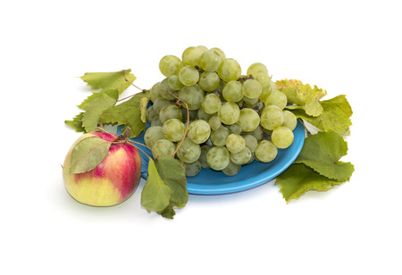 still life a plate with grapes and one apple at the left, isolate, a subject fruit of fallの写真素材