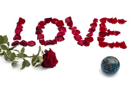 inscription love from petals of roses, and one rose at the left and on the right the globe, isolate, a subject abstraction from flowersの写真素材