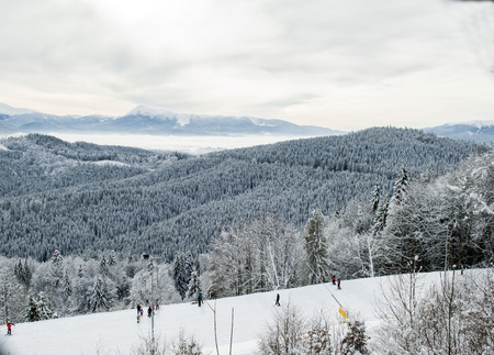 skiers in the woods on a ski track, the theme of mountain sports, skiing, Bukovel, Carpathiansの写真素材
