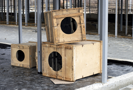 construction of a city shelter for dogs, the theme of charity and mercy, animal shelter, dog rescue, volunteer workの写真素材