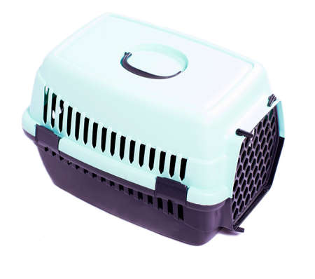 carrier to follow to the vet clinic, beautiful domestic cats, cats in the house, pets, going to the vet, traveling with a catの写真素材