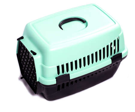 isolated image, cat carrier to follow to the vet clinic, beautiful domestic cats, cats in the house, pets, going to the vet, traveling with a catの写真素材