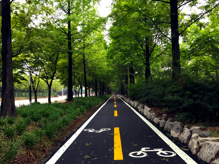 Bike lanes, Signs, Trees, Asphalt, Newの写真素材