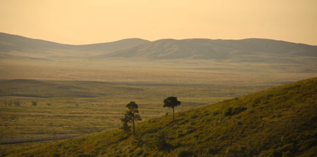 Hills, Field, Meadow, Rock - Object, Summer, Kazakhstanの写真素材