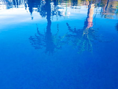 Image where it is possible to be observed in the surface of the water of a swimming pool two...