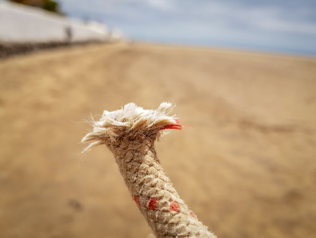 end of piece of rope pointed upwardsの写真素材