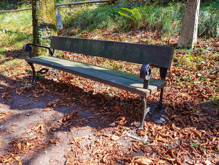 Bench in autumn park. Autumn landscapeの写真素材