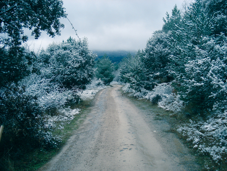 Scenic winter road through forest covered in snow after snowfall. Moncayo, Spainの写真素材