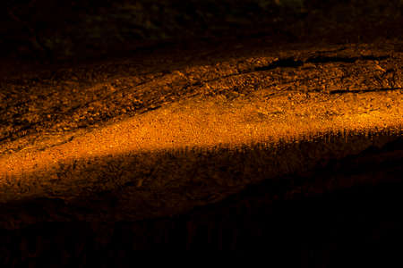 Stalactites and stalagmites in a cave.