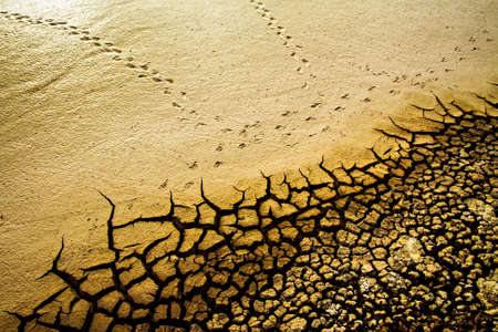 Cracks in the ground. The concept of climate change and global warming.
