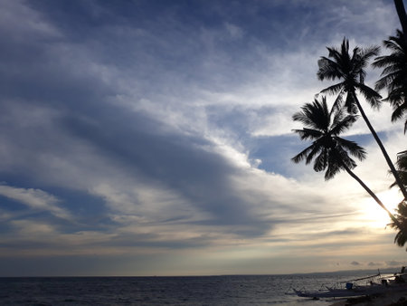 Tropical beach with palm trees at sunset.