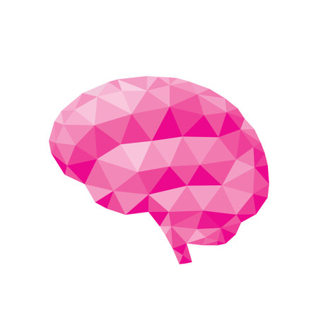 Human brain - polygonal graphic design vector illustration. Creative idea inspiration. Intuition intellect concept art. Mind sign. Innovation creativity brainstorm. IQ smart logic think. Pink color.のイラスト素材