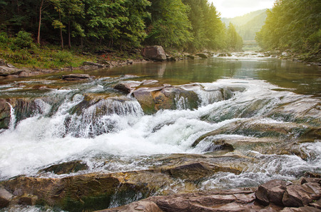Mountain stream in a  forest.の写真素材