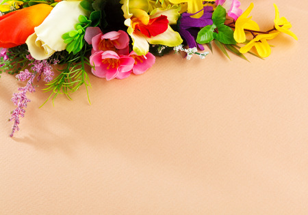 composition of flowers on beige backgroundの写真素材