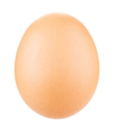 Egg Isolated on whiteの写真素材