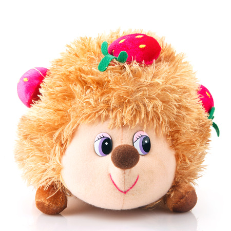 toy hedgehog isolated on whiteの写真素材