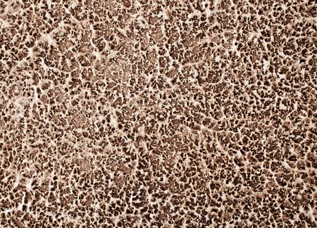 gray clay textureの写真素材
