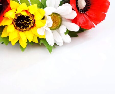 colorful flowers isolated on whiteの写真素材