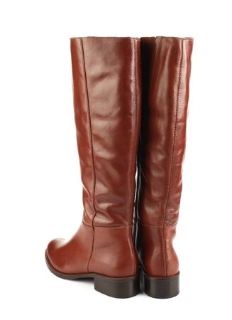 brown female boots isolated on white background back viewの写真素材