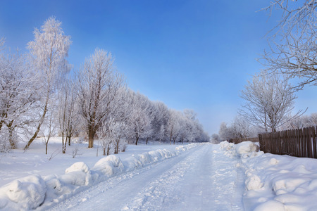 winter landscape with snow-covered road and treesの写真素材
