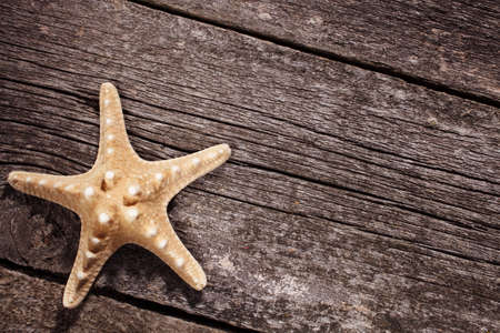 Starfish on old wooden background. space for textの写真素材