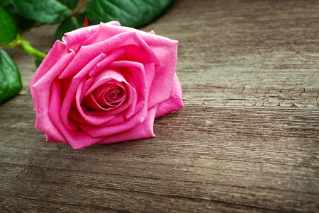 beautiful pink rose head on the wooden background with space for textの写真素材