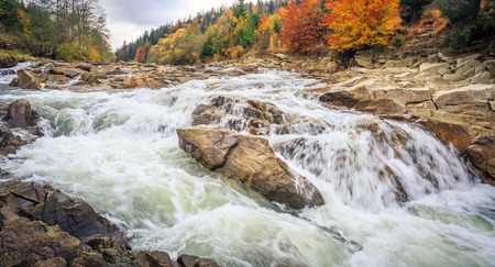 beautiful  Landscape, mountain river in autumn forestの写真素材
