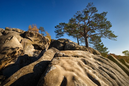 beautiful Landscape, tree on a top mountain under blue sky in sunny dayの写真素材