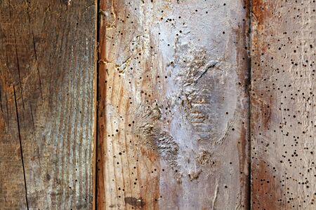 very old brown wood texture background closeupの写真素材