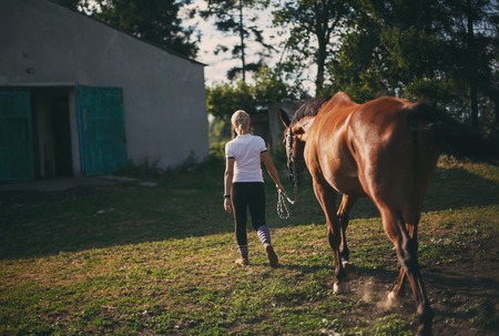 Woman leading horse in the stables. equestrian.turned his back to the camera.の写真素材