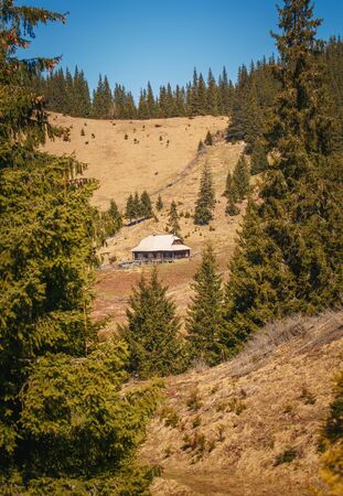 wooden house in spring forest mountainの写真素材