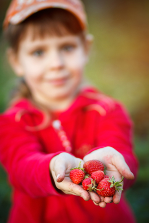 Strawberry, summer, vacation and recreation concept - young beautiful girl with strawberry. Girl holding strawberry in hands. Strawberry in focus. selective focusの写真素材