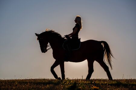 Silhouette of a young girl on horse at the sunset. Silhouette of a woman riding a horse.の写真素材