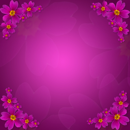 Purple Primula floral background. Flowers made with gradient for background. Abstract texture. Greeting card for woman. Luxury violette color.の写真素材