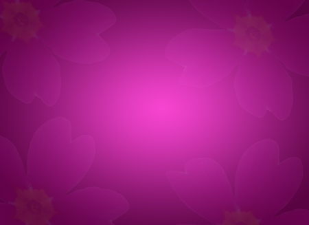Beautiful pink chrysanthemum flowers in soft style for background. Abstract texture. Greeting card for woman. Luxury color. Fresh and rich illustration.の写真素材