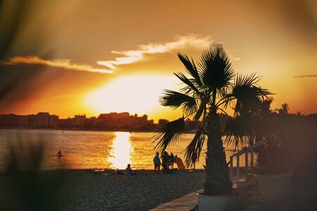 Tropical landscape. Sunset beach. Palm tree silhouettes and sun down.の写真素材