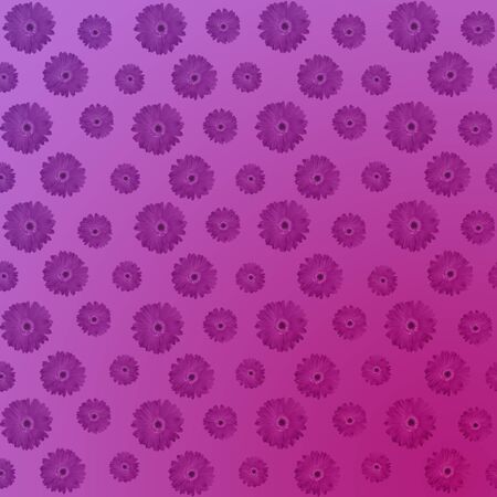 Luxury floral background with primula flowersの写真素材