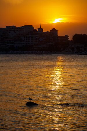 Silhouette of the city against the background of the sunset. Sunset over the city Sveti Vlas, Bulgaria, Sunny Beach. A bird resting on a stoneの写真素材