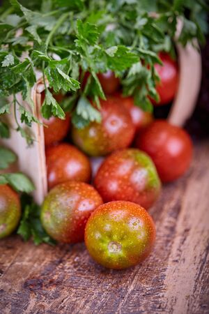 Healthy nutrition, rich in vitamins. Green tomatoes lie on the table. Drops of water on juicy tomatoesの写真素材