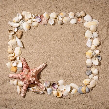 Frame made of stars and seashells on the sand, with place for your image, text. Top view.の写真素材