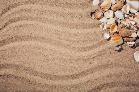 Top view of sandy background with dunes and seashells. For card, frame, flat lay, copy space, top...